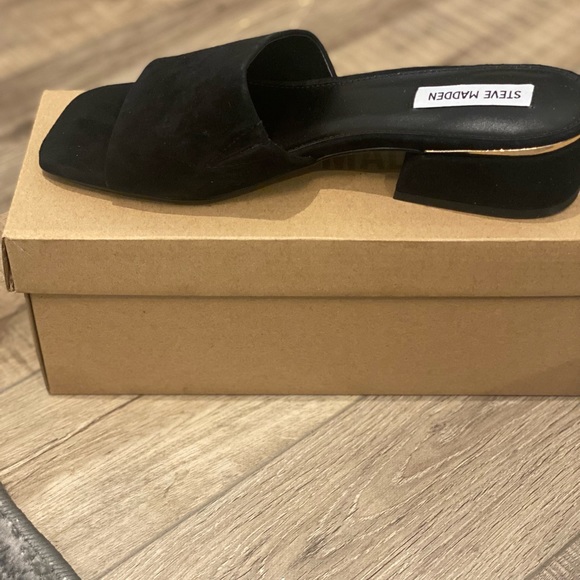 Steve Madden Shoes - Steve Madden - Megan Black Suede
